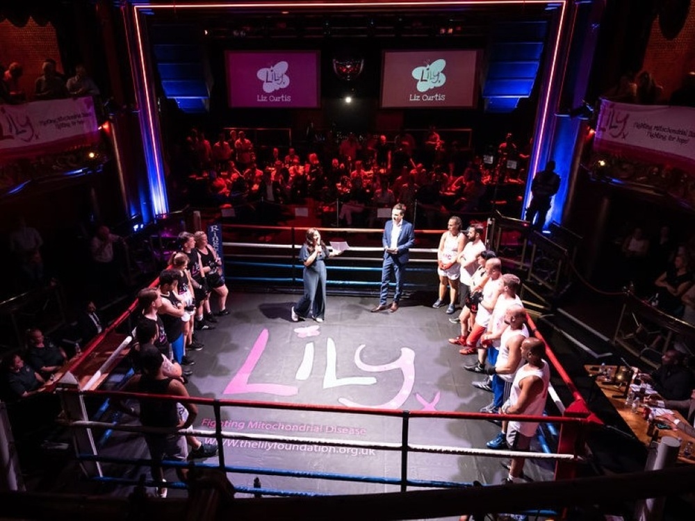 14 boxers stand around the edge of a boxing ring. The canvas has a large Lily logo in the middle