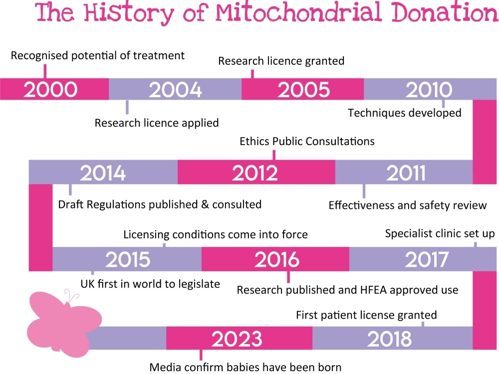 Pink and purple date snake, highlighting significant historical achievements for mito donation
