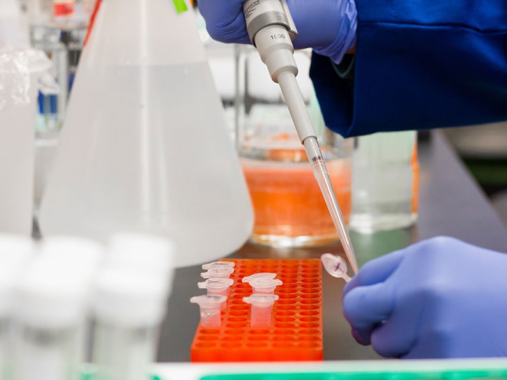 Researcher wearing blue gloves using a pipette to fill test tubes in a lab