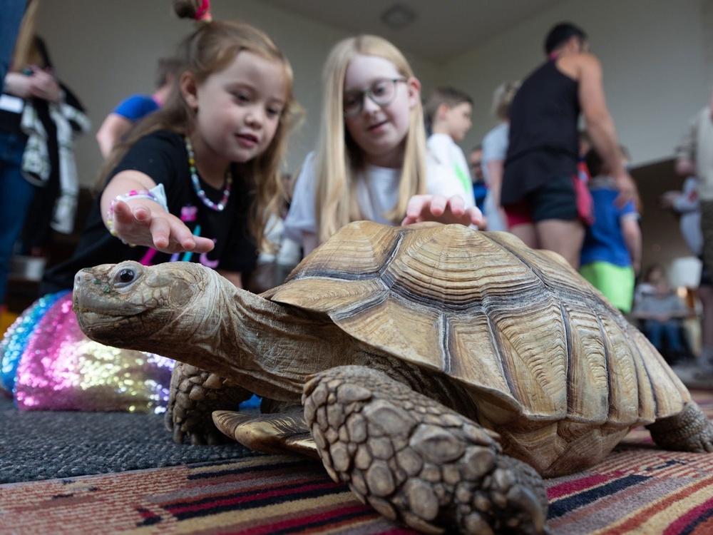 Two young girls pet a tortoise at the Lily Family Weekend